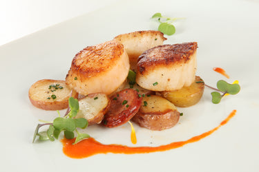 Image of COM: Scallop Sea North Atlantic 20-30 ct. - 2 x 5 Pounds